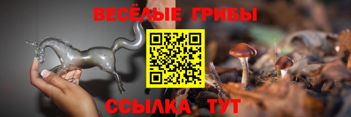 Галлюциногенные грибы ЛСД  Вход с VPN  Дятьково  Псилоцибиновые грибы Psilocybe 